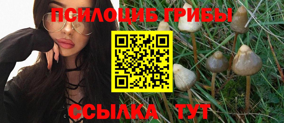 Галлюциногенные грибы прущие грибы Коммунар