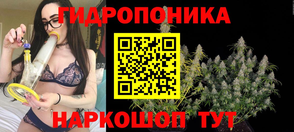 Бошки марихуана OG Kush Коммунар